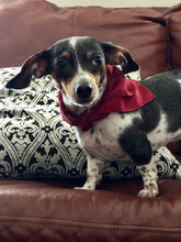 Load image into Gallery viewer, Versatile Blue, Bronze 21x21 Square Habotai silk. For your hair, as a neckerchief, pocket square, or accessorize your dog.