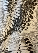 Load image into Gallery viewer, March 11 2023 Spring Workshop
