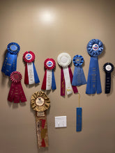 Load image into Gallery viewer, March 11 2023 Spring Workshop
